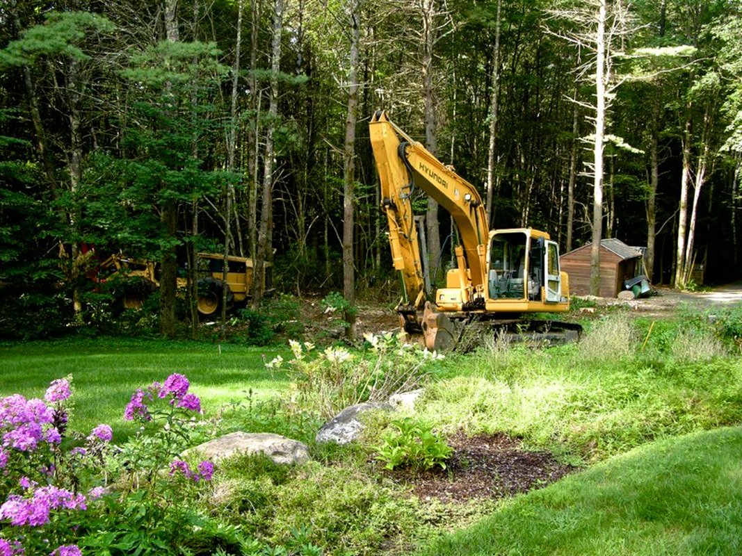 Overgrown Lot Cleanup